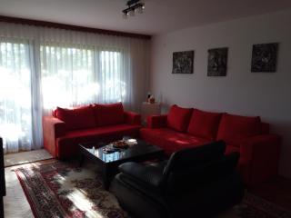 Lajlas Apartment - Sarajevo - 1