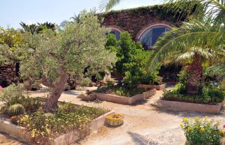 Agriturismo Zinedi - Pantelleria - 3