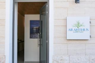 Ailanthus Holiday Suites - Polignano a Mare - 9