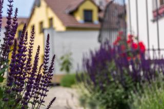 Penzion Harmonie - 8