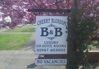 Cherry Blossom Guest House - Whitby - 3