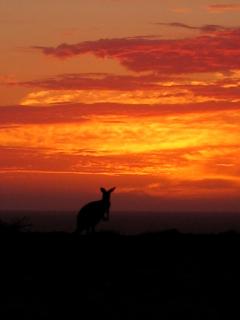 Gnaraloo Station - Homestead - 8