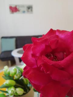 Apartment Luna - Trogir - 3