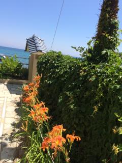Aegean Blue - Platamonas - 3