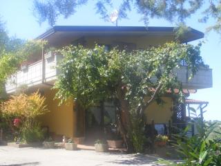 Agriturismo Trivilini - 1