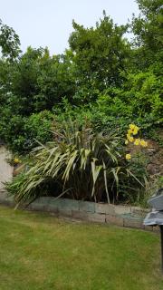 Franklyn Guesthouse - 5