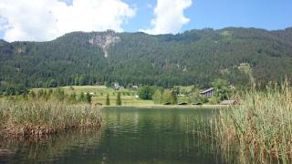 Haus Alpina - Weissensee - 8