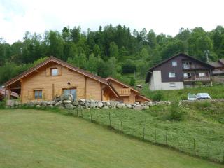 Le Planot - La Bresse - 9