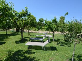 Belvilla by OYO Venturi Olive - Gatteo a Mare - 5