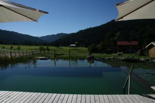 Almhof Lässer - Balderschwang - 0