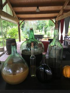 L'Art Dit Vin - Saint-Aigulin - 6