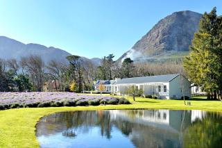 Lavender Farm Boutique Guest House - Franschhoek - 6