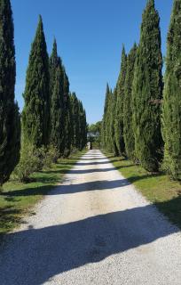 Mas des Prevots B&B - Noves - 3