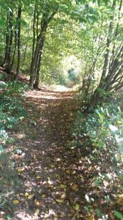 Ferienwohnung am Zeitenweg - Windeck - 1