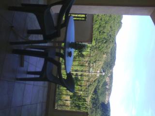 Hotel Valle del Cedrino - 1