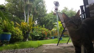 Hostal El Jardin - 1