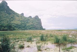 Lungcha Homestay - Sam Roi Yot - 6
