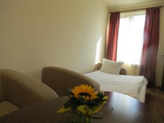 Apartments & Studios Mountain Romance - Bansko - 1