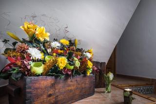Casa La Carpintera - Royuela - 1