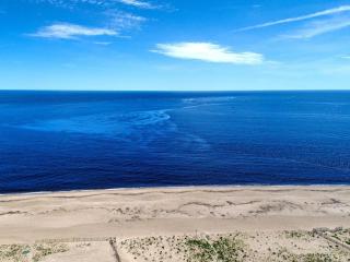 Plum Island Prize - 7