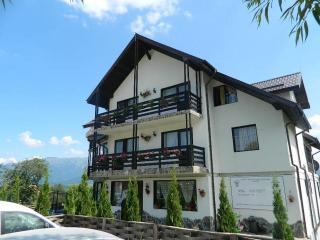Pensiunea Casa Boiereasca - Peştera - 4