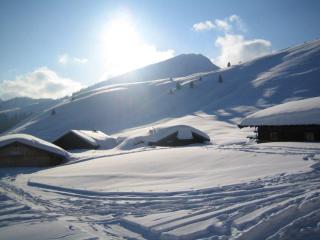 Hagauhof - Kirchberg in Tirol - 6