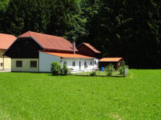 Haus im Grünen - Gmundennähe - Pinsdorf - 9