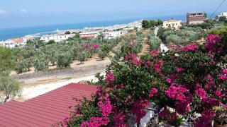 Villa Lucrezia Trilo - Vieste - 3
