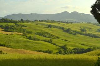 Farmhouse Tuscany - Montecastelli Pisano - 6