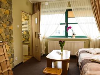 SPA Apartment Parkowy - Chojnice - 9