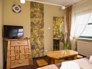 SPA Apartment Parkowy - Chojnice - 8