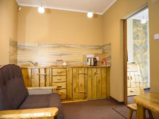 SPA Apartment Parkowy - Chojnice - 3