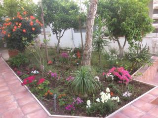 Miriam Short Term Rental - 1