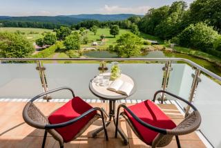 Landhotel Heimathenhof - Heimbuchenthal - 4