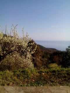 Nightingale Cottage Pelion - 3
