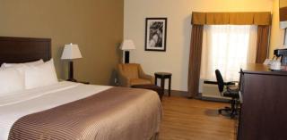 Best Western High Road Inn - 6