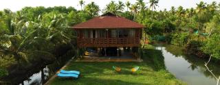 Vinis Farm - A Private Island Stay -Privacy Redefined !!! - Munroe Island - 5