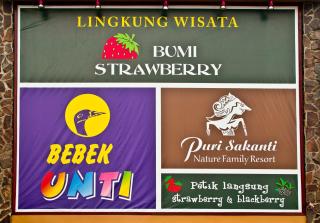 Puri Sakanti Nature Family Resort - Ciwidey - 2