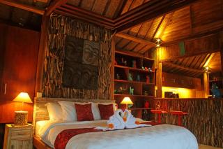 Ubud Virgin Villa - Ubud - 5