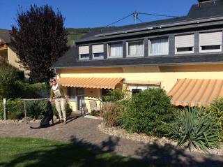 Ferien-Wein-Gut Keifer - Bernkastel-Kues - 8