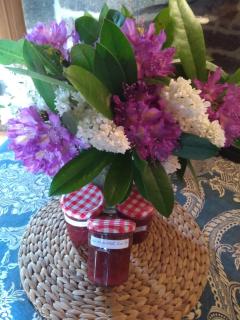 Manoir de Kerguéréon - 7