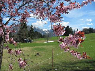 Gasthof Seeweg - 8