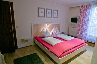 Appartement Ferienhof Ortnergut - Eben im Pongau - 2