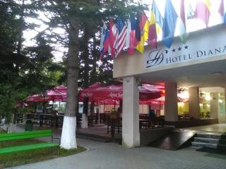Hotel Diana - Geoagiu Băi - 0