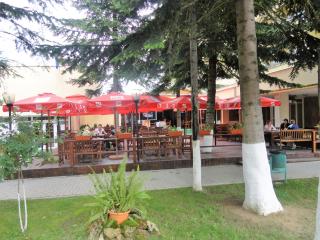 Hotel Diana - Geoagiu Băi - 5