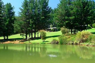 Hawke Brook Chalets - Pemberton - 7
