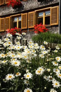 Ferienhof Metzler - Schwarzenberg im Bregenzerwald - 5