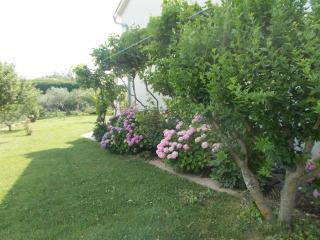 Apartments Makaus - Rab - 4