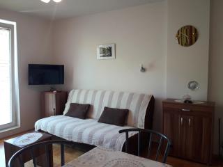 Studio S Sokobanja - Sokobanja - 3