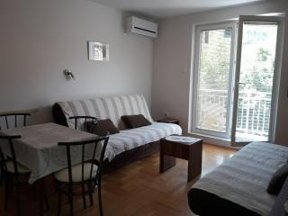 Studio S Sokobanja - Sokobanja - 7